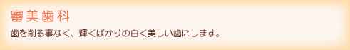 審美歯科：歯を削る事なく、輝くばかりの白く美しい歯にします。